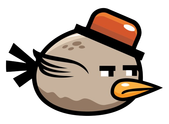 bird-img